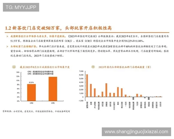 分析PG娱乐在线游戏的市场潜力与未来发展趋势，行业专家深度解读