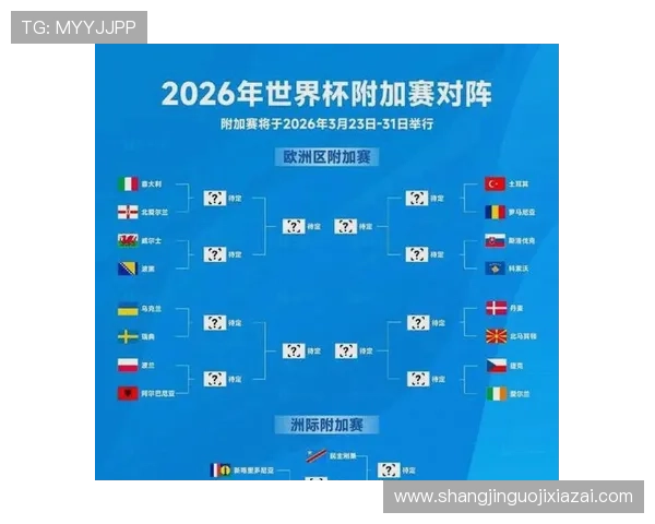 2026年瑞典VS突尼斯世界杯比赛关键战术分析与胜负走势